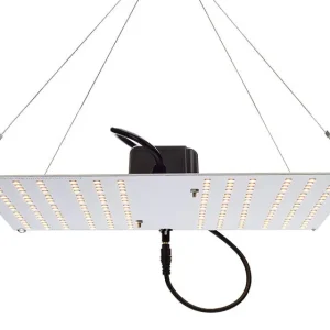 Next Day Delivery Horticulture Lighting Group HLG 100 V2 95 Watt LED Grow Light