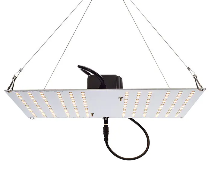 Next Day Delivery Horticulture Lighting Group HLG 100 V2 95 Watt LED Grow Light