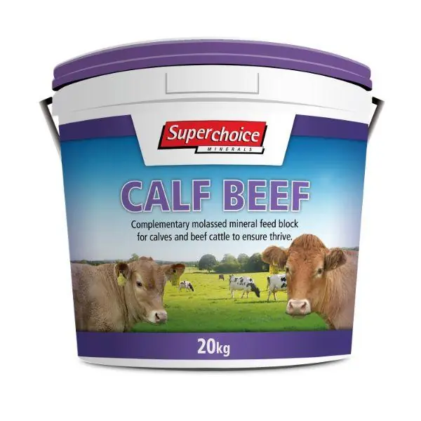 Best Choice Superchoice Calf-Beef Bucket Purple 20Kg