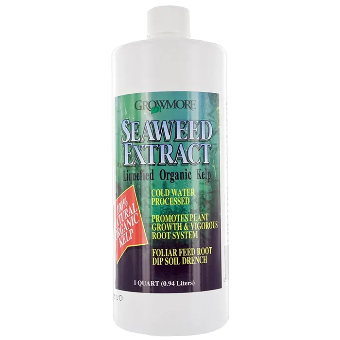 Worldwide Shipping Grow More Seaweed Organic 11%