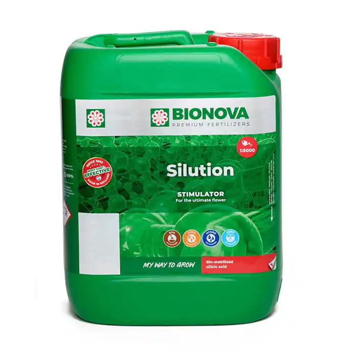 Bionova SiLution Silicic Acid Exclusive Offer
