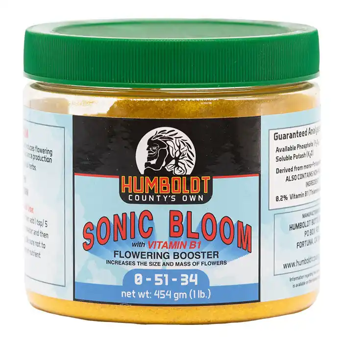 Exclusive Humboldt County's Own Sonic Bloom