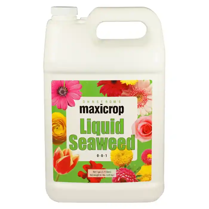 Maxicrop Original Liquid Seaweed Direct From Manufacturer