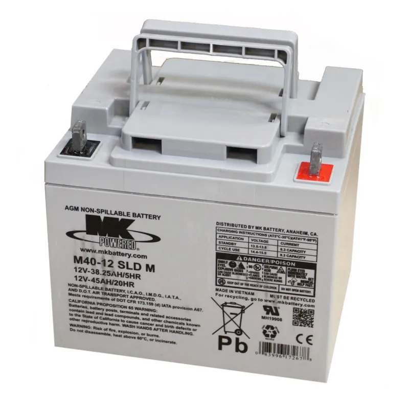 Holiday Sale 12V-45Ah Sealed Gel Replacement Battery for the CleanFreak® 'EasySweep' Vacuum Sweeper