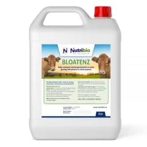 Factory Price Bloatenz 5L