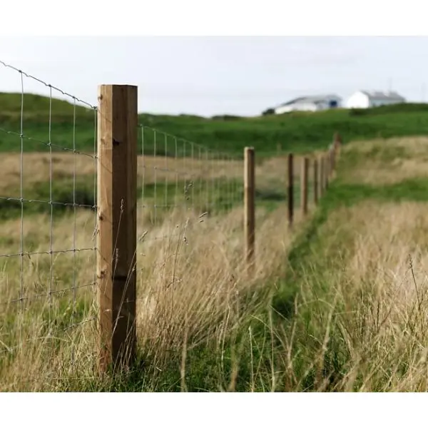 Octo Tanasote Fence Post 100mm x 2500mm (4"x8FT) Bargain