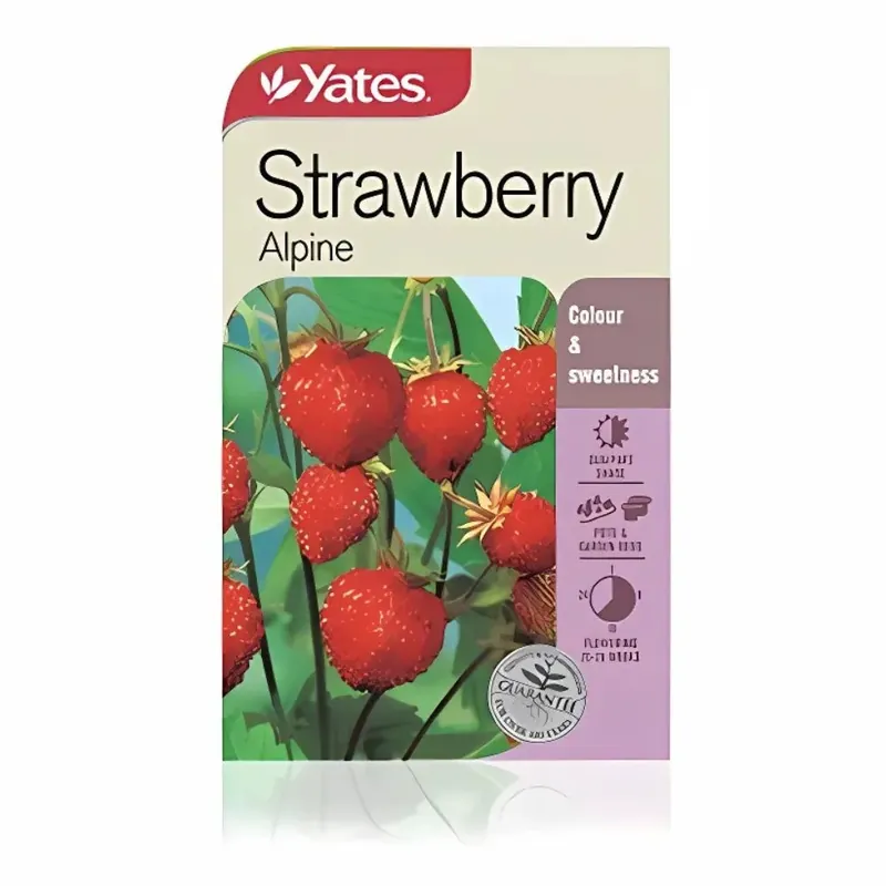 Strawberry Alpine Seeds - Yates Hot Deal