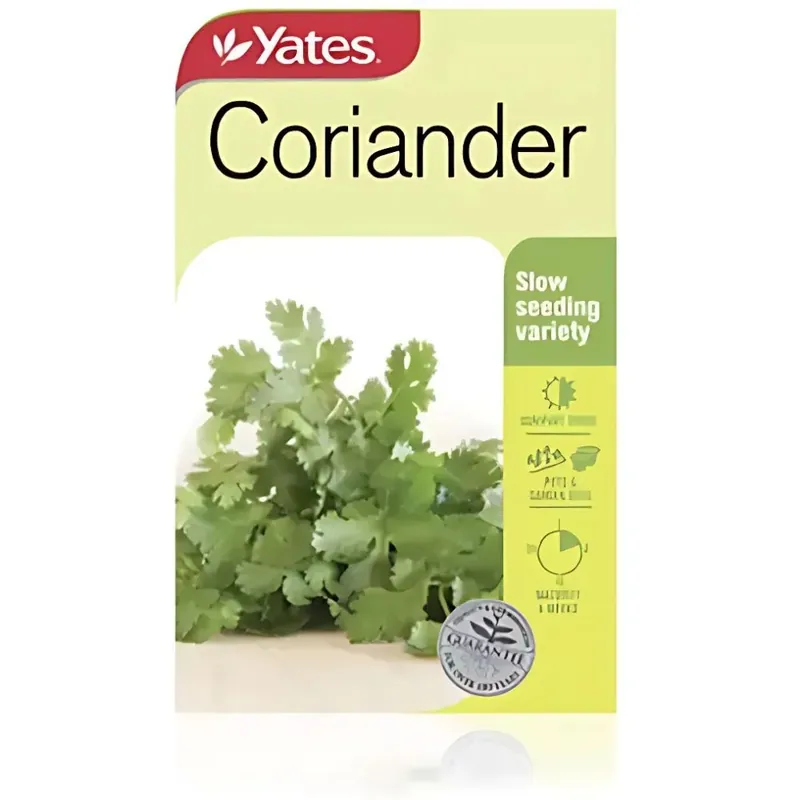 Coriander Seeds - Yates Crafted