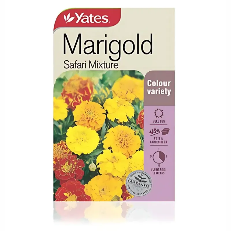 Big Sale Marigold Safari Mixture Seeds - Yates