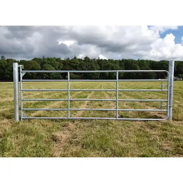 Buy Online M8 20Ft GalvanisedGate