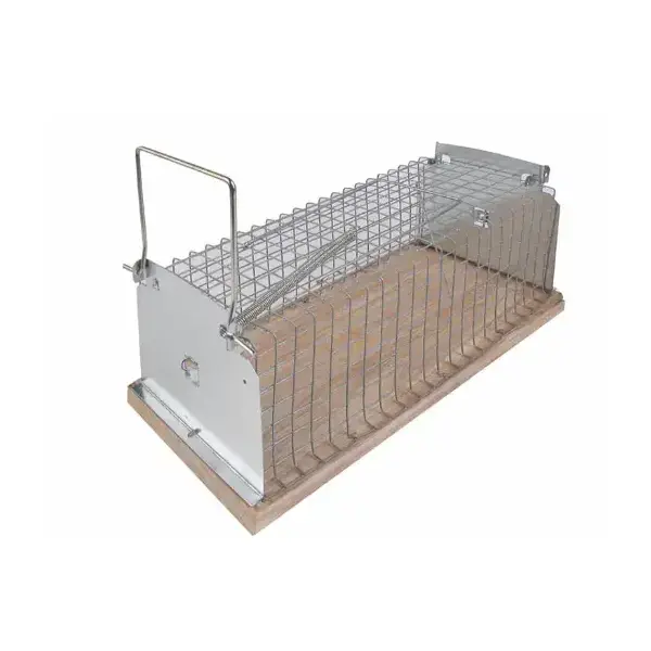 Weekend Sale Wooden Base Rat Cage - 30cm