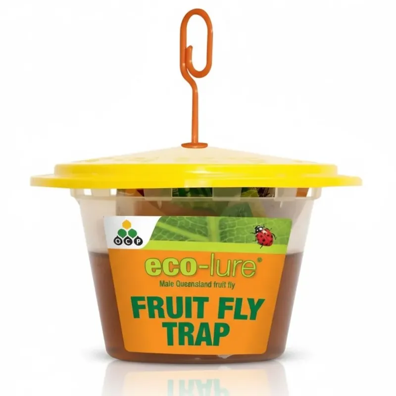 Eco-lure Fruit Fly Trap Must Have