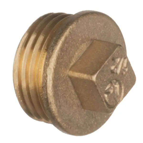 Seasonal Sale 1" Brass Blanking Plug