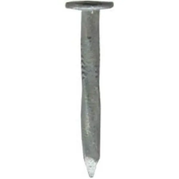 Flash Sale BAT 65X3.35 Galvinised Slate Nail 1Kg box