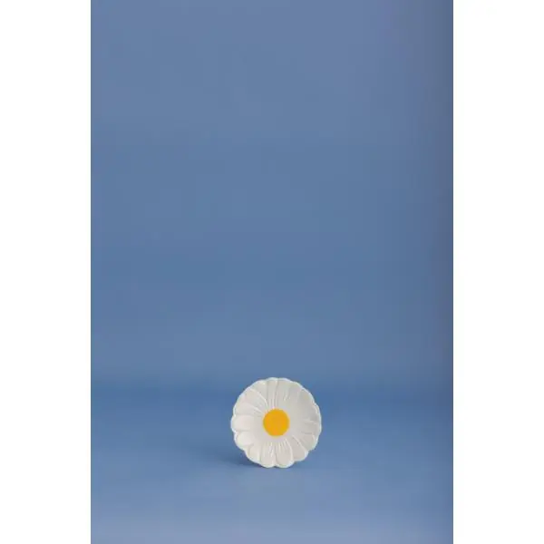 Daisy Kitchen Tidy Limited Time