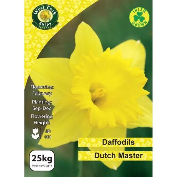 Budget West Cork Daffodil Dutch Master 25Kg