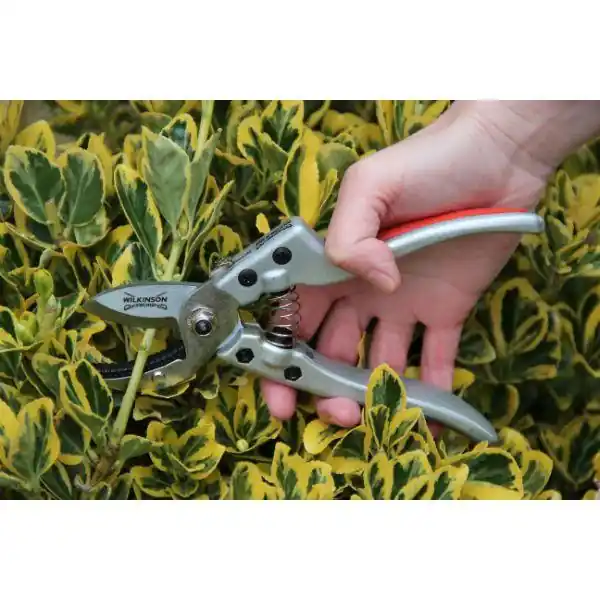 Wilkinson Sword Razorcut Comfort Anvil Pruner Direct From Manufacturer