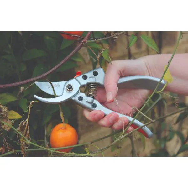 Wilkinson Sword Razorcut Comfort Medium Bypass Pruner Clearance