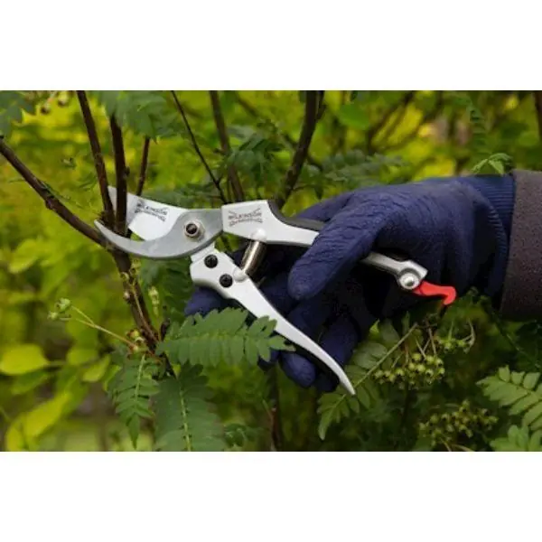 The Wilkinson Sword Deluxe Boxed Bypass Pruner Authentic