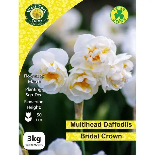 Grab Now West Cork Daffodil Bridal Crown 3kg