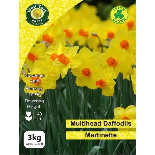 West Cork Daffodil Martinette 3kg Deal