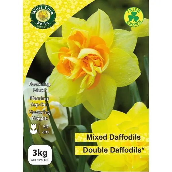 Last Chance West Cork Mixed Double Daffodils 3Kg