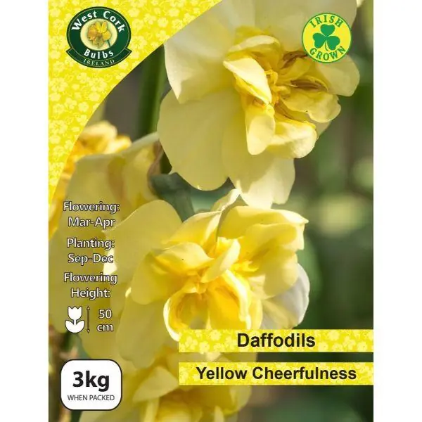Best Price West Cork Daffodil Yellow Cheerfulness 3kg