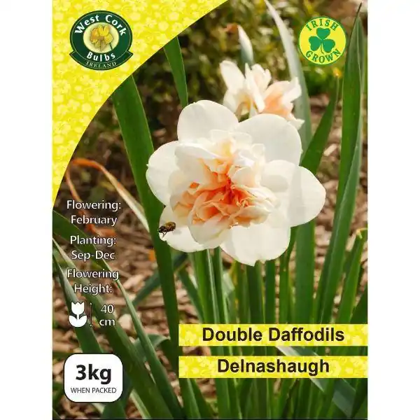 West Cork Daffodil Double Delnashaugh 3kg Factory Price