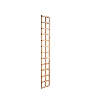 Wicklow Wood Rigid Wall Trellis Best Choice