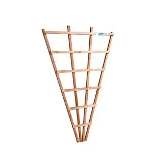 Reduced Price Wicklow Wood Fan Wall Trellis 3X2Ft Golden Brown