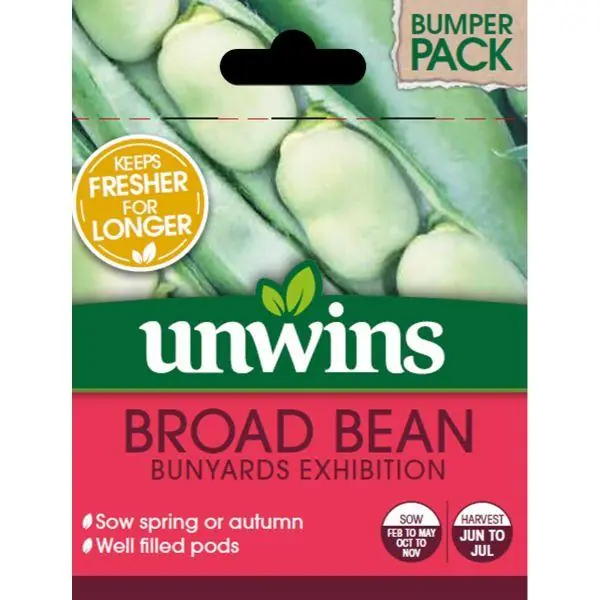 Broad Bean Bunyards Exhibition BOX Same Day Shipping