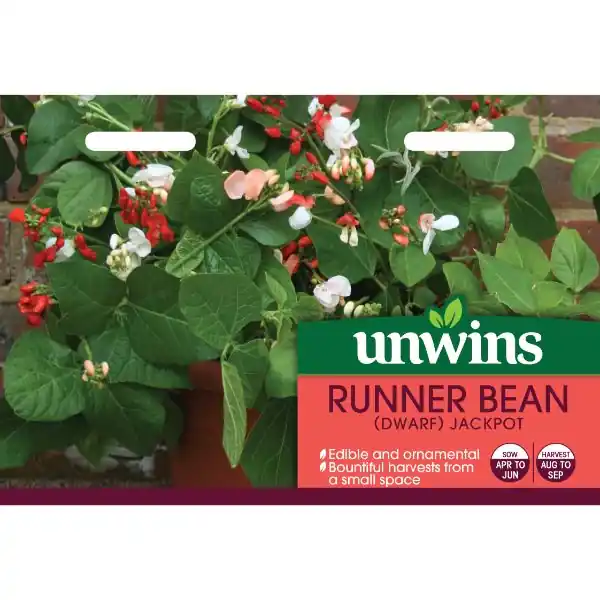 Get Yours Unwins Seed Packet Runner Bean (Dwarf) Jackpot