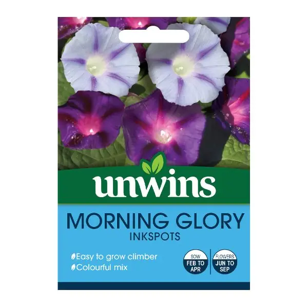 Unwins Seed Packet Morning Glory Inkspots Original
