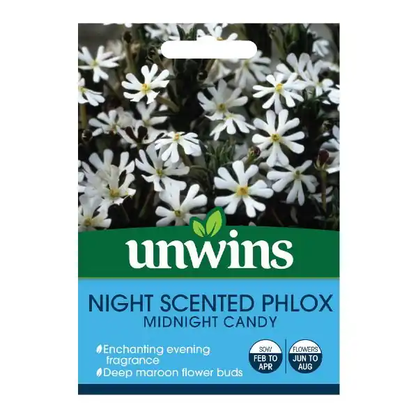 Price Drop Unwins Seed Packet Night Phlox Midnight Candy