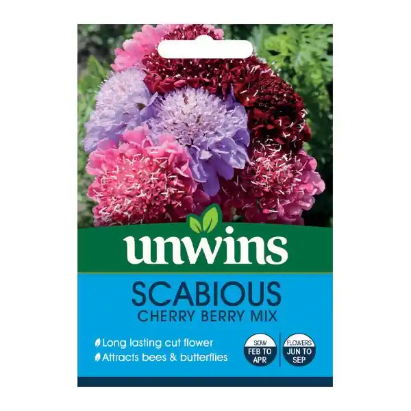 While Supplies Last Unwins Seed Packet Scabiosa Cherry Berry Mix