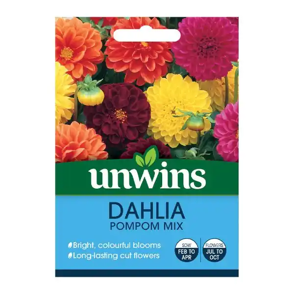 Viral Unwins Seed Packet Dahlia Pompom Mix