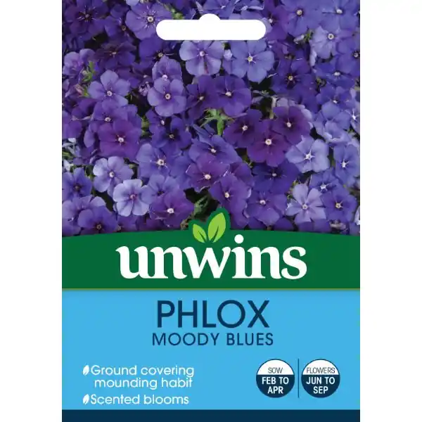 While Supplies Last Unwins Seed Packet Phlox Moody Blues