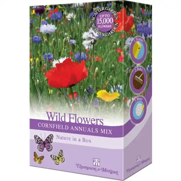 Wild Flowers Cornfield Annuals Mix Limited Time
