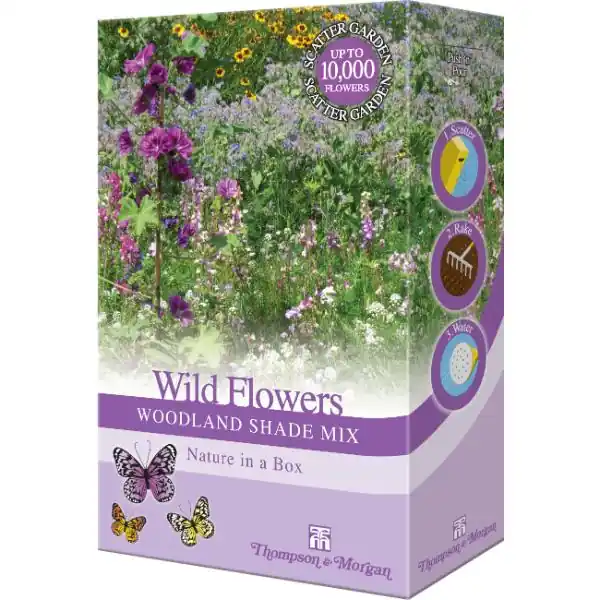 Wild Flowers Woodland Shade Mix Save Now