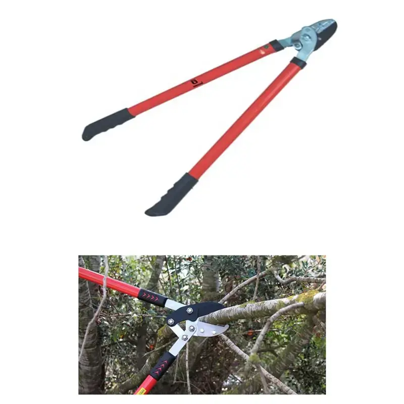 Heavy Duty Lopper Anvil Type For Garden Purpose Low Price