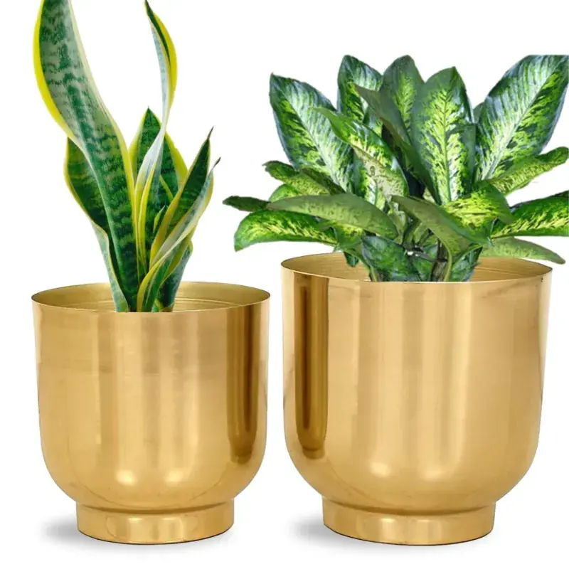 Ecofynd 2 Pcs Eva Golden Metal Plant Pots with Drainage Hole for Interior Decoration, Home Garden Decor Planter Last Chance