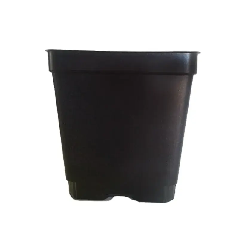 While Supplies Last 3.5 Inch Plastic Square Flower Pot/Nursery Pots for Gardening and Outdoor (Pack of 12)