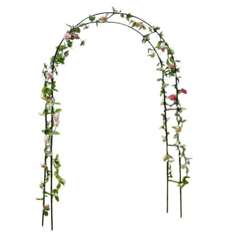 Ecofynd Metal Garden Arch Plant Stand for Climbers | Used in Lawns/Gardens(GARCH001-BLK) 5.0 Latest