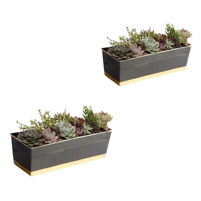 Ecofynd 16 Inches Rectangular Metal Planter Pots - Black, Pack of 2 (POT042-BLK) Today Only