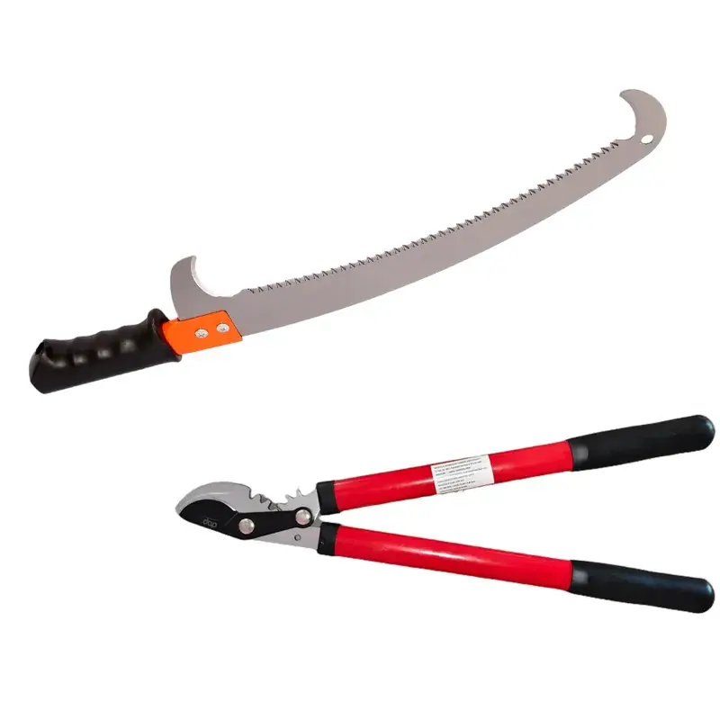 DAP Set of a Pruning Saw with Hook and a Bypass Lopper | Used for Cutting/Trimming/Garden Maintenance - 2 Tools Budget
