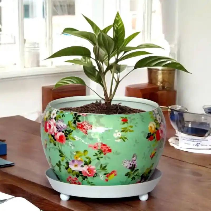 Discount Ecofynd High-quality, Lily Green-Floral Print Metal Planter Pot for Home Decor 5.0