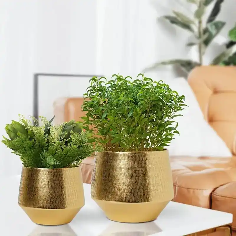 Best Price Ecofynd Decorative Modern Indoor Planter Flower Pot, Home Garden Decor Planter for Living Room, Bedroom (Pack of 2) 5.0