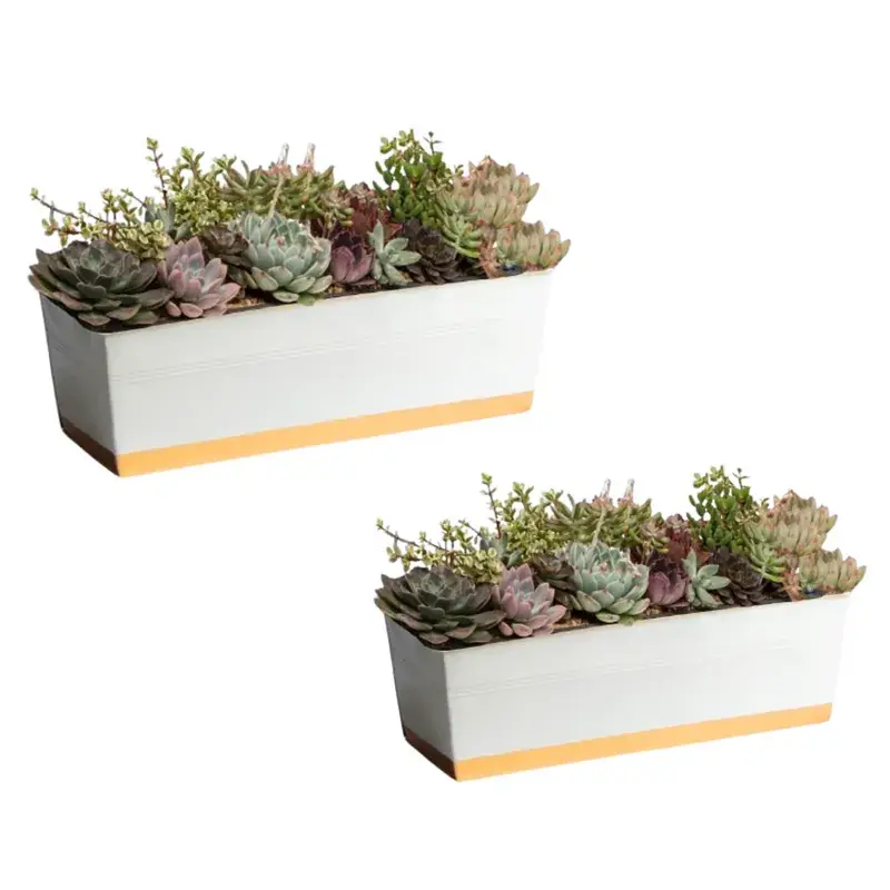 Ecofynd 16 Inches Rectangular Metal Planter Pots - White, Pack of 2 (POT042-WHT) Markdown