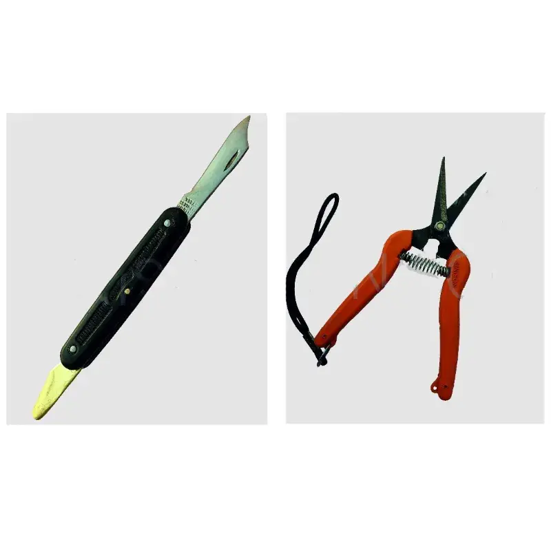 Unison Graft & Harvest Duo Set : 2 Blades Budding Knife & Straight Fruit Cutter, for Precision Gardening Tasks. Buy Direct