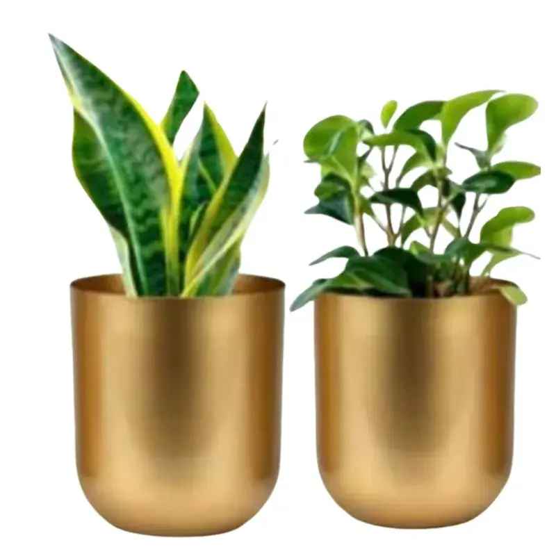 Warranty Included Ecofynd Gold Finish Elegant Metal Planter for Table Indoor Plants - Ideal for Gifting and Home Decor5.0